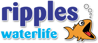Ripples Waterlife Online